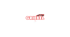 Desktop Screenshot of fahrschulen-griebel.de